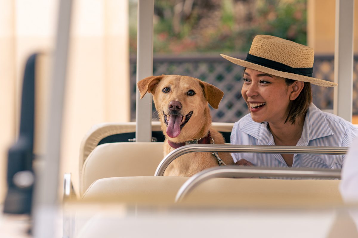 Dog friendly deals hilton hotels