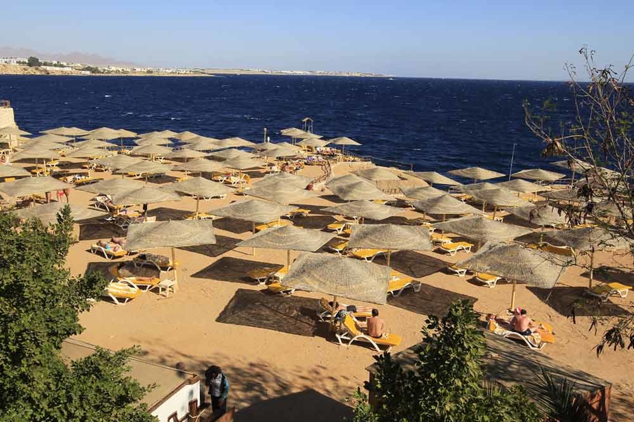 Tourist Killed In Egypt Shark Attack Business Hotelier Middle East