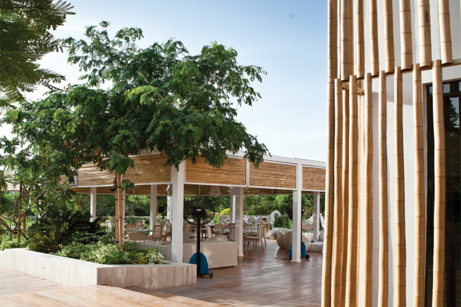 PHOTOS: At The Farm Dubai - Gallery - HOTELIER MIDDLE EAST