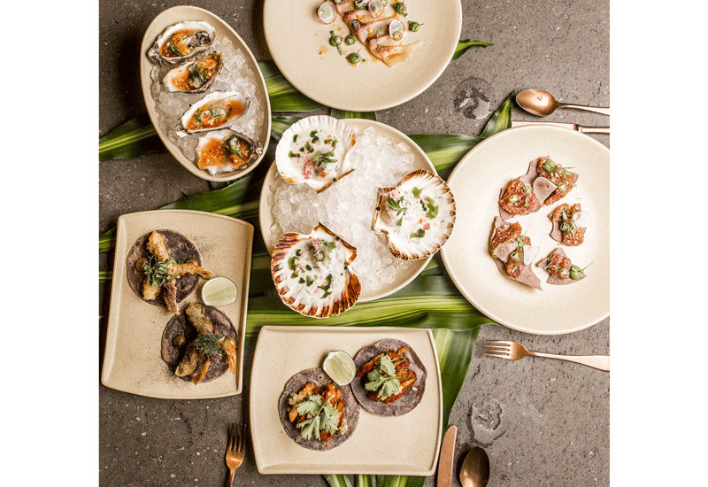 A selection of dishes at Peyote's newly-launched Friday brunch. A selection of dishes at Peyote's newly-launched Friday brunch.