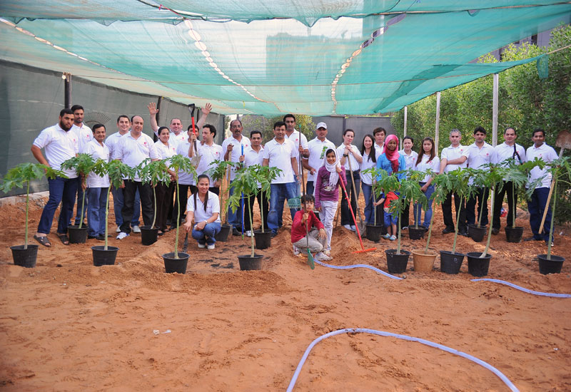 The on-site urban farm at Ramada Hotel & Suites Ajman. The on-site urban farm at Ramada Hotel & Suites Ajman.