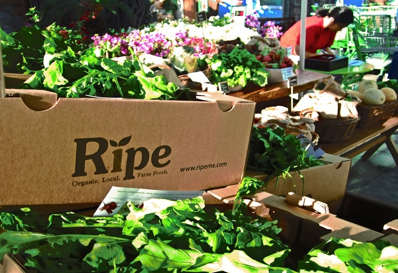 Ripe Market at Zabeel Park. Ripe Market at Zabeel Park.