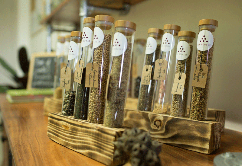 Seed Bank at Six Senses Earth Lab. Seed Bank at Six Senses Earth Lab.