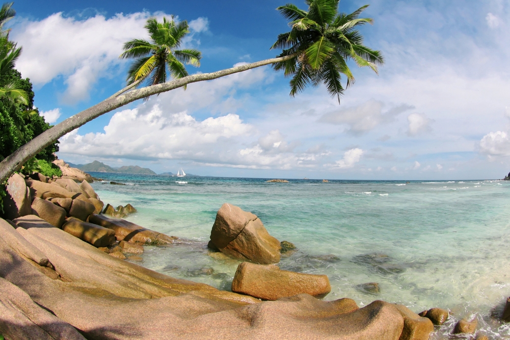 Seychelles is the next stop for the company. Seychelles is the next stop for the company.