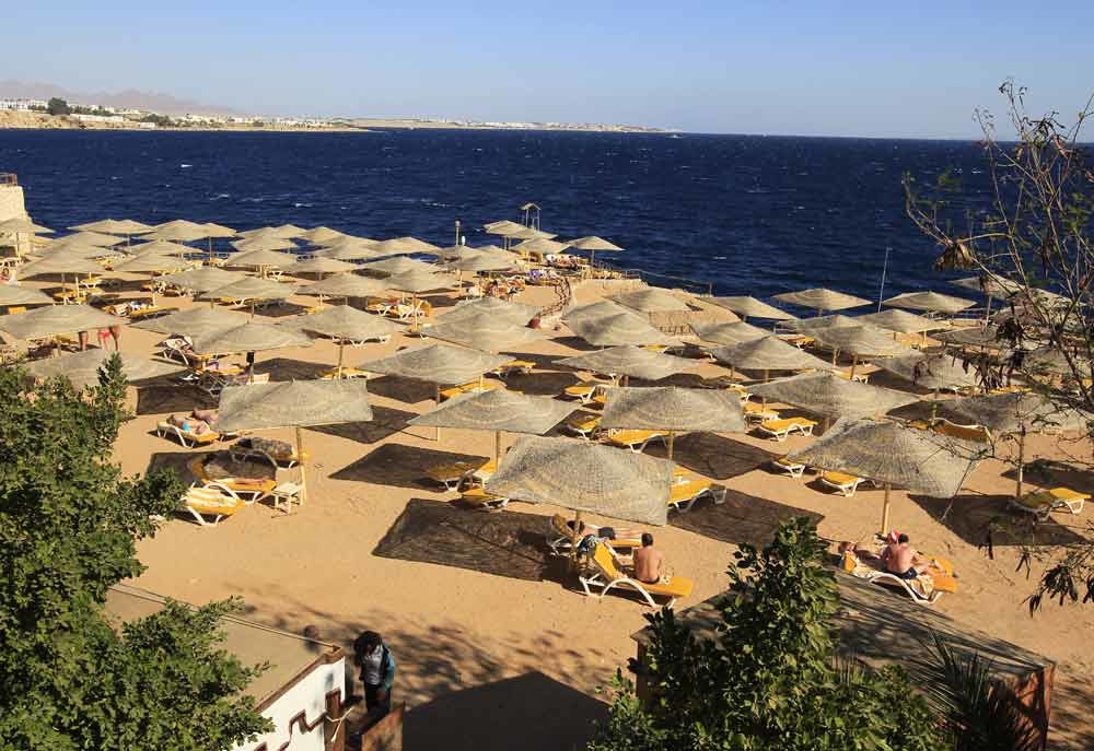 Tourist Killed In Egypt Shark Attack Business Hotelier Middle East