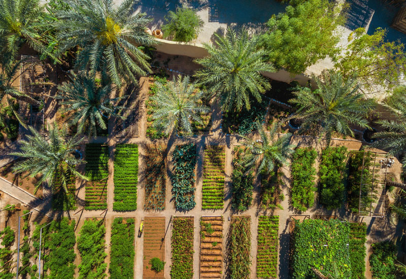 In addition to growing plants, vegetables and greens, the resort has introduced livestock. In addition to growing plants, vegetables and greens, the resort has introduced livestock.