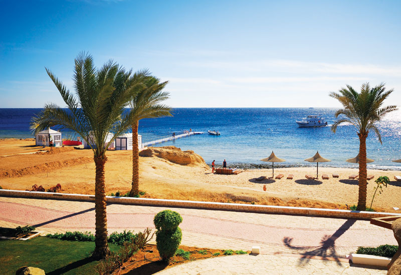 Egypt is hoping to increase tourism numbers. Egypt is hoping to increase tourism numbers.