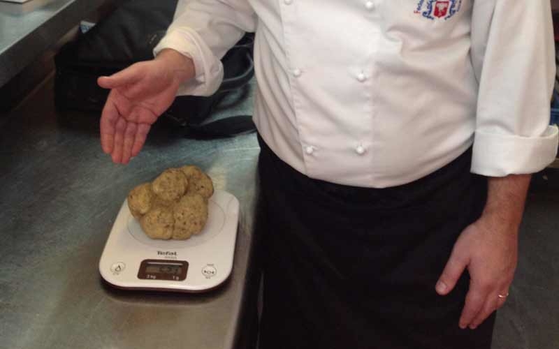 BiCE Mare's truffle weighed in at 503g. BiCE Mare's truffle weighed in at 503g.