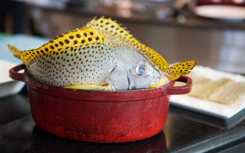 Hammour is an endangered species in the Gulf waters. Hammour is an endangered species in the Gulf waters.