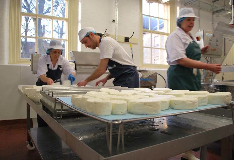 The School of Artisan Food The School of Artisan Food
