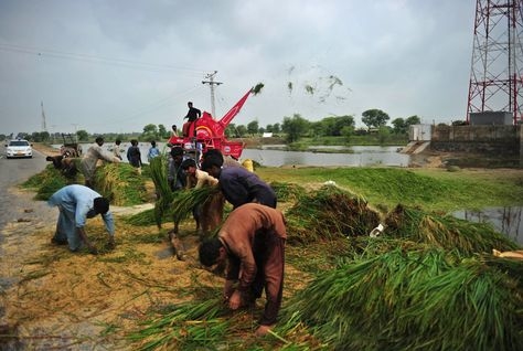 (AFP/Getty Images - for illustrative purposes only) (AFP/Getty Images - for illustrative purposes only)