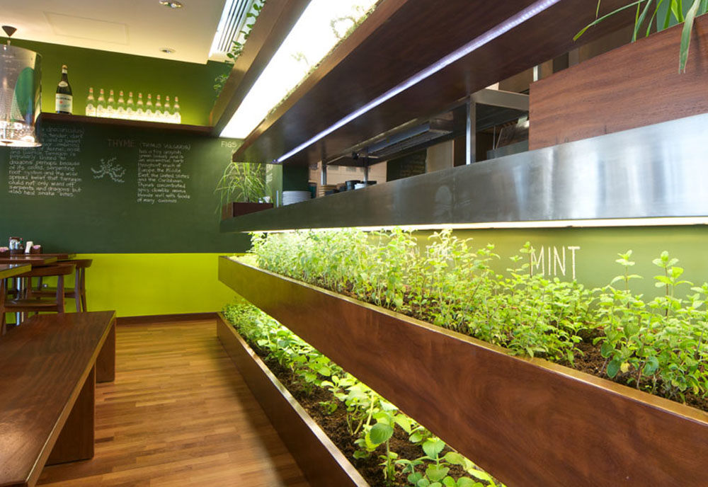 Internal farm producing organic herbs for Kuwaiti-based restaurant. Internal farm producing organic herbs for Kuwaiti-based restaurant.