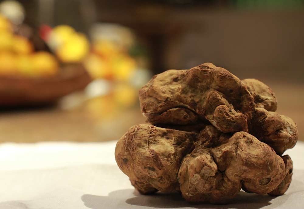 Ingredients, White truffle, Zuma dubai Ingredients, White truffle, Zuma dubai