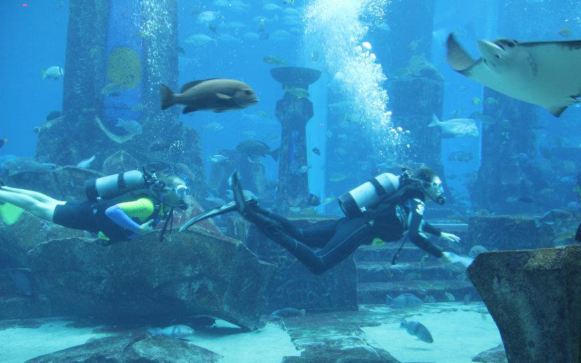 Shark week at Atlantis, The Palm Shark week at Atlantis, The Palm
