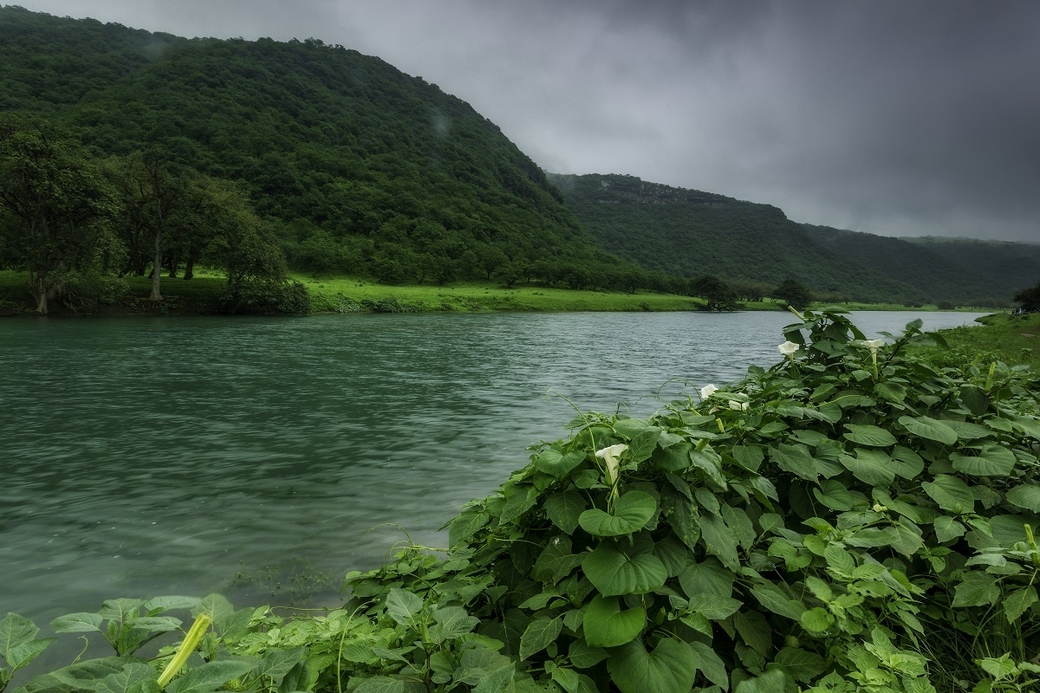 Every year, Salalah in Dhofar records a high number of tourists, and in 2018, 826,376 tourists visited the city Every year, Salalah in Dhofar records a high number of tourists, and in 2018, 826,376 tourists visited the city
