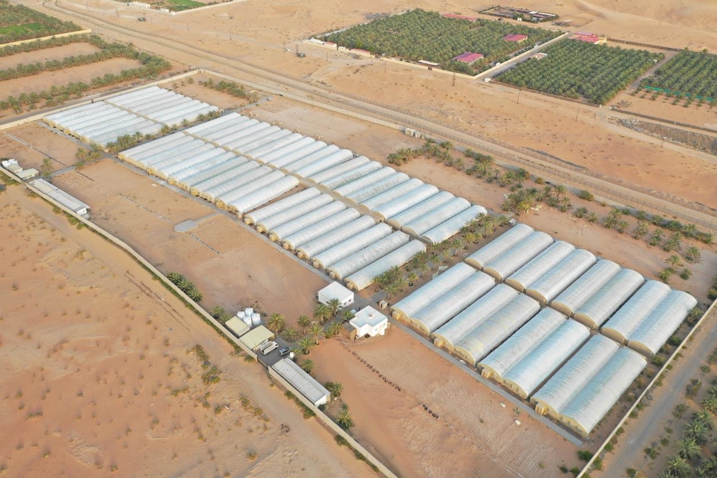 MOCCAE is attempting to connect people with nature, and educate them about sustainable practices, such as community farming. MOCCAE is attempting to connect people with nature, and educate them about sustainable practices, such as community farming.