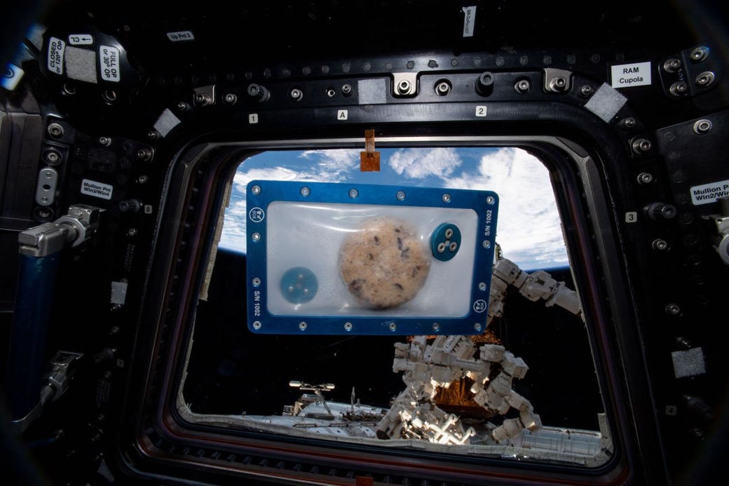 The objective of the initiative is to make long-duration space travel hospitable The objective of the initiative is to make long-duration space travel hospitable