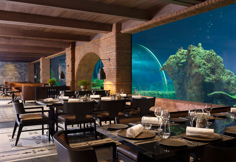 Koral offers a four-course degustation menu Koral offers a four-course degustation menu