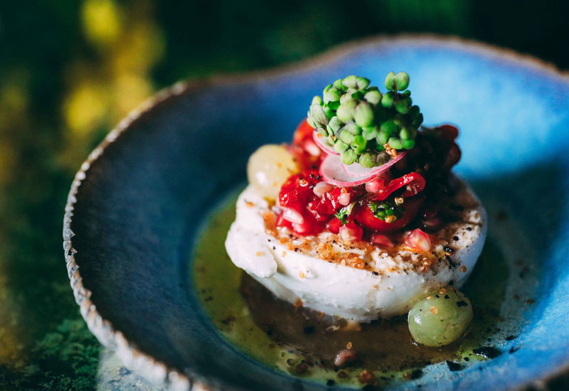 Coya explains the move will empower its diners Coya explains the move will empower its diners