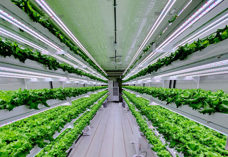 Vertical farm, Food security, Hydroponics, Smart acres, Abu dhabi Vertical farm, Food security, Hydroponics, Smart acres, Abu dhabi