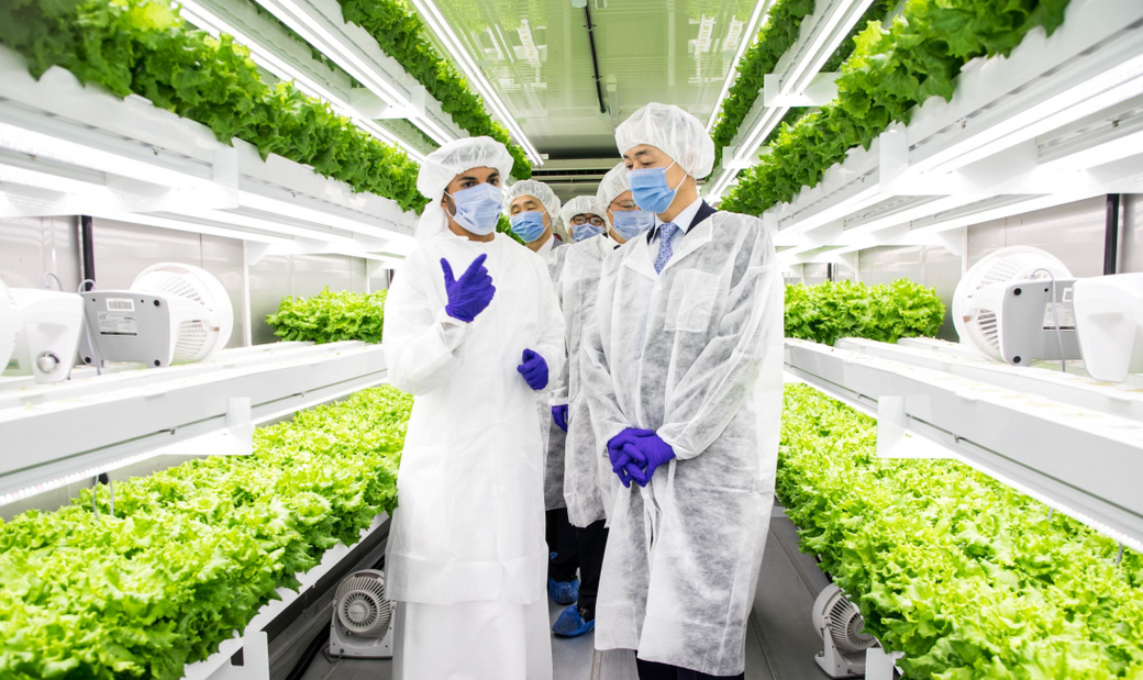 Smart acres, Farm, Hydroponics Smart acres, Farm, Hydroponics